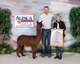 alpaca for sale