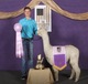 alpaca for sale