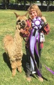 alpaca for sale