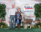alpaca for sale