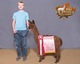 alpaca for sale