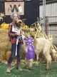 alpaca for sale