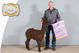 alpaca for sale