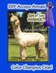 alpaca for sale