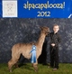 alpaca for sale