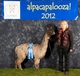alpaca for sale