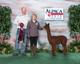 alpaca for sale