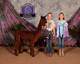 alpaca for sale