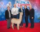 alpaca for sale