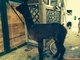 alpaca for sale