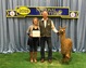 alpaca for sale