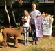 alpaca for sale
