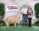 alpaca for sale