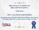 alpaca for sale