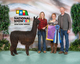 alpaca for sale