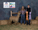 alpaca for sale