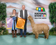 alpaca for sale