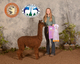 alpaca for sale
