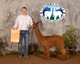 alpaca for sale