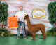 alpaca for sale