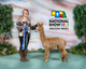 alpaca for sale
