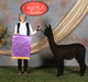 alpaca for sale