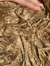 alpaca for sale