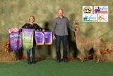 alpaca for sale