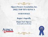 alpaca for sale