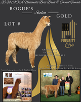 alpaca for sale