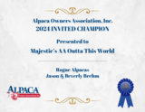 alpaca for sale