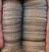 alpaca for sale