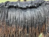alpaca for sale