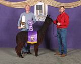 Photo of Rogue's Jondani