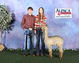 alpaca for sale