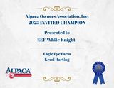 alpaca for sale