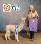 alpaca for sale