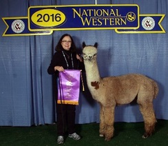 Photo of BSRA SNOWMASS ENLIGHTENMENT'S PATRON