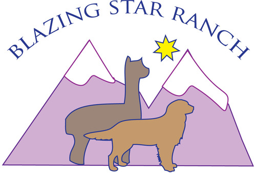 BLAZING STAR RANCH