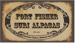 FORT FISHER SURI ALPACAS