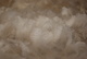 Louie's Cria Fleece