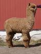 April 2016