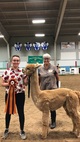 2nd Cria 