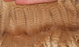 Fleece at 8 months