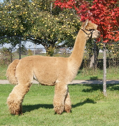 October 2011