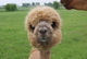 Sooo Cute 