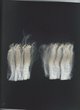2020