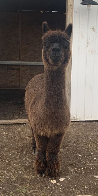 Photo of Arriba Winona