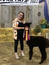 Grand Champion 