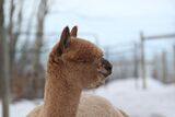 Look at that head
